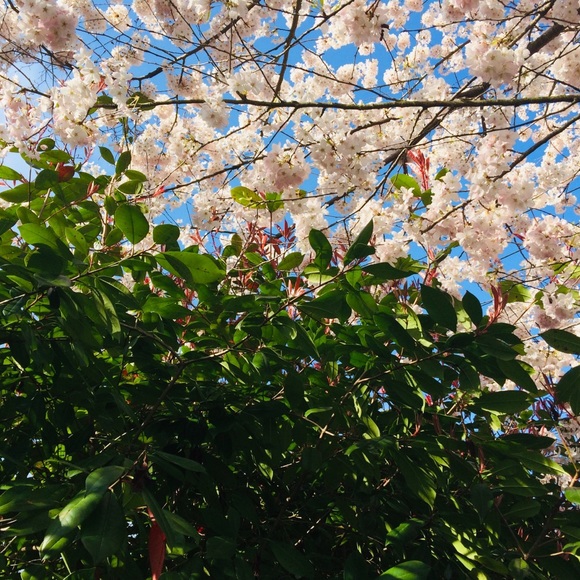 few pieces available, make me an offer :) - Picture 2 of 3